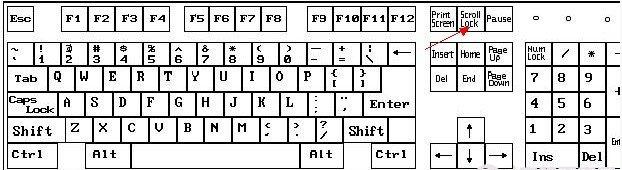 >scroll lock键在哪，有什么作用？