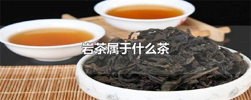 岩茶属于什么茶（岩茶在茶类中属于什么类型）