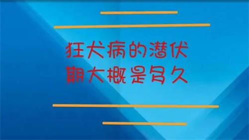 狂犬病潜伏期一般多长时间（狂犬病的潜伏期有多长）