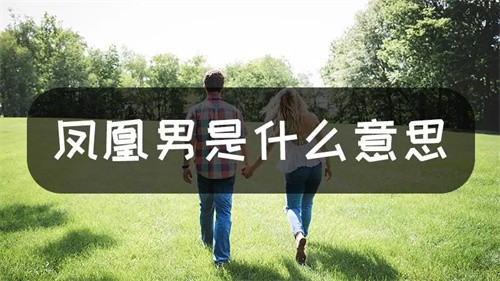 凤凰男什么意思啊（凤凰男指的是什么类型的男人）