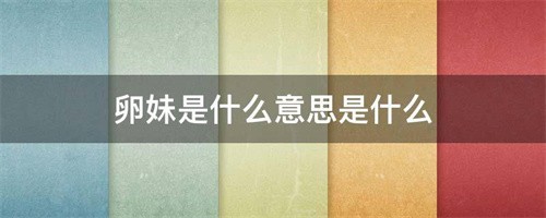 卵妹是什么意思（卵妹是指什么人）