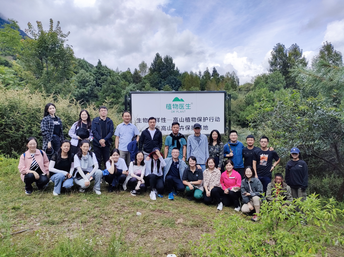 植物医生深耕石斛研究，公益行动回馈高山生物多样性