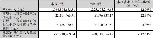 瑞泰科技拟发不超过5.19亿元可转债 股价跌0.25%