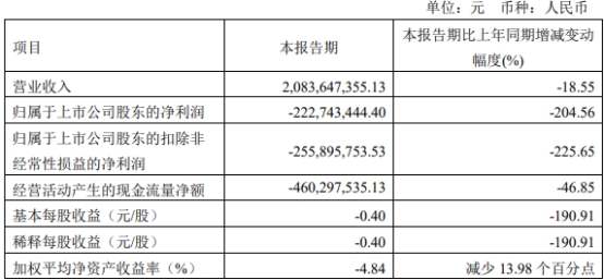 龙蟠科技终止不超21亿元可转债 去年定增募资22亿破发