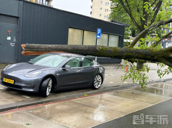 特斯拉Model 3荷兰暴风雨中奇迹般幸存：车身结构惊艳亮相