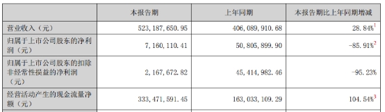 破发股德必集团上半年净利降86% 上市即巅峰募6.94亿