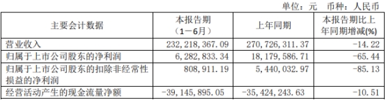 >元琛科技上半年扣非净利81万元 2021年上市募2.6亿