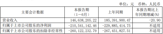 云天励飞上半年亏损去年前年均亏 上市即巅峰募39亿