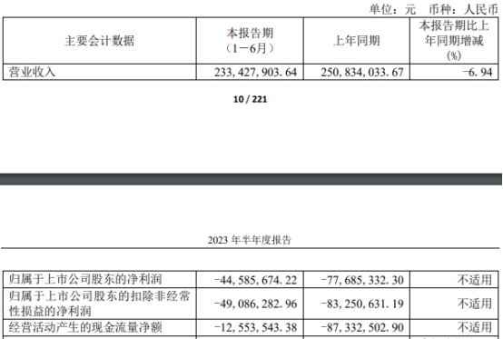 >光云科技上半年续亏 2020年上市两募资累计6.1亿元