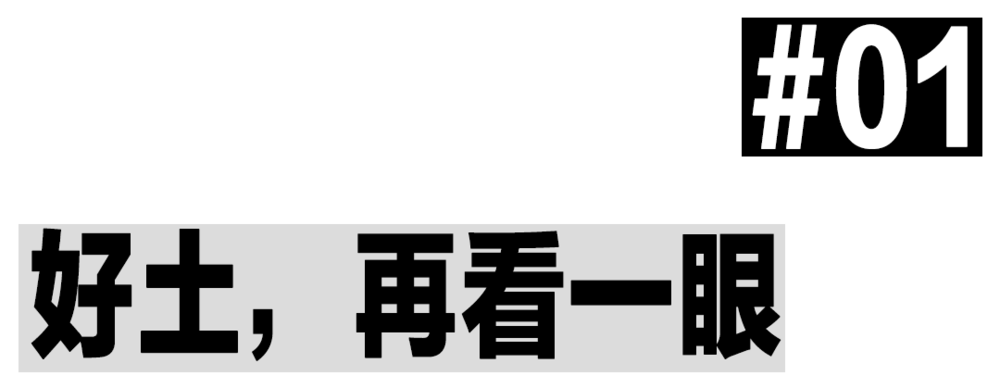 有多少大好青年，被午夜微短剧“吸干”？