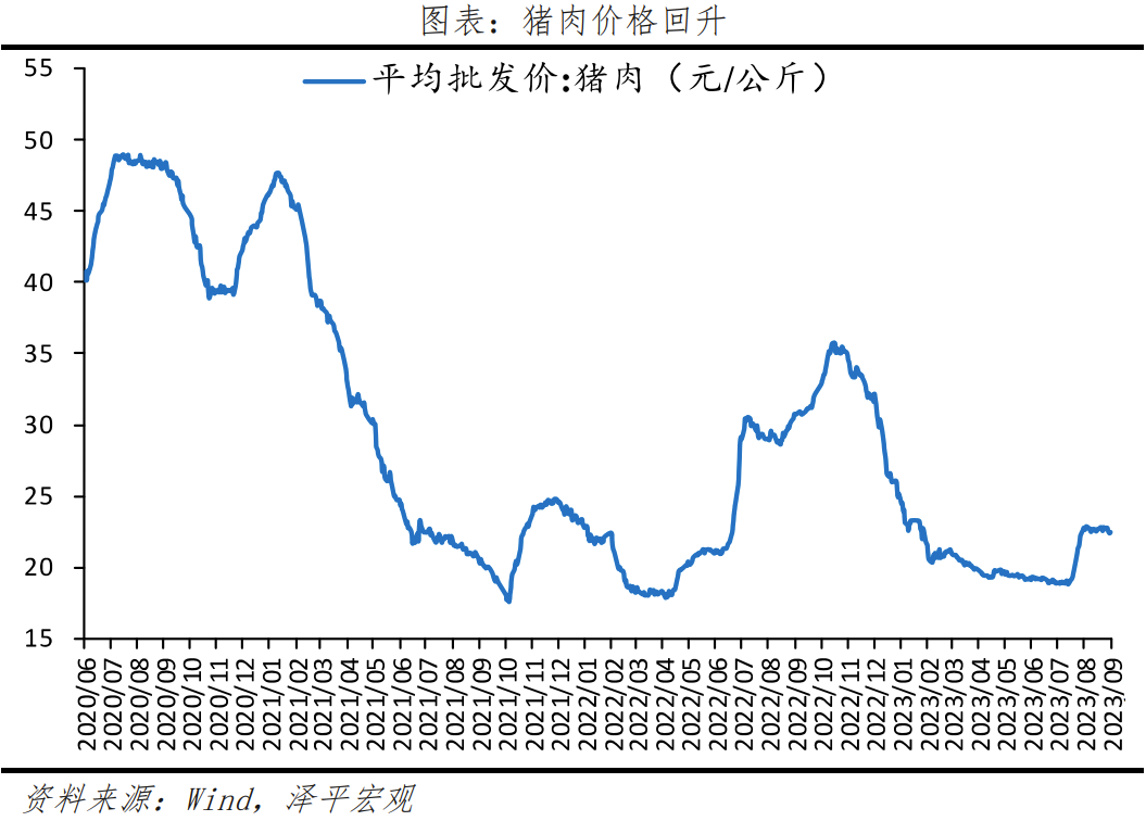 任泽平：物价走出低谷？