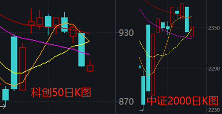 没有退路就是胜路！近两周大涨16%的基金，原来押中了这个板块