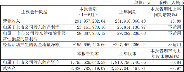 >嘉和美康上半年亏损经营现金流连负6年半 IPO超募5亿