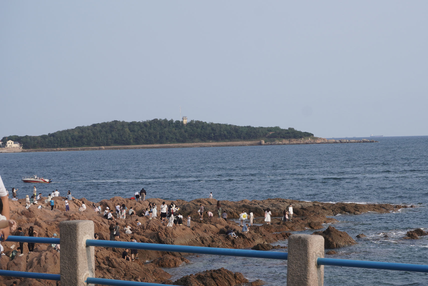 日本强排20天后渔民发愁：买海鲜的人少了三分之二，鳗鱼价格下跌超60%