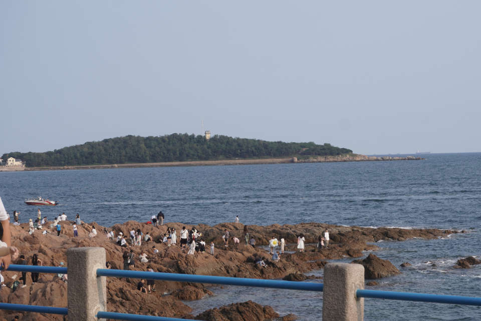 日本强排20天后，有渔民为生计发愁