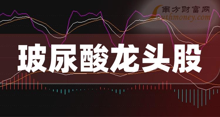 玻尿酸板块前五的龙头股一览表（9/18）