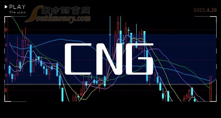 >CNG相关公司哪家比较好_2023第二季度净利率前10排名