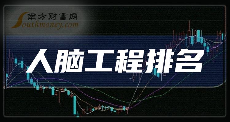 >人脑工程股票市盈率前十大公司排名-9月18日