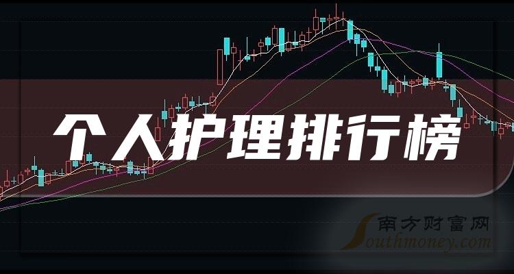 >2023第二季度：个人护理概念股票净利润排行榜前十的股票