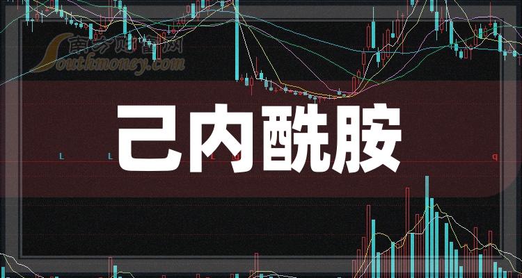 >己内酰胺上市公司龙头股有哪些？（2023/9/26）