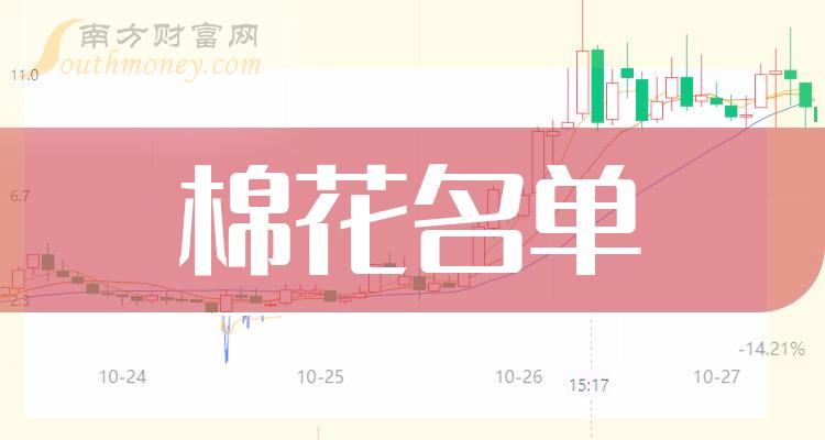 棉花上市公司排行榜：9月29日市盈率前10名单