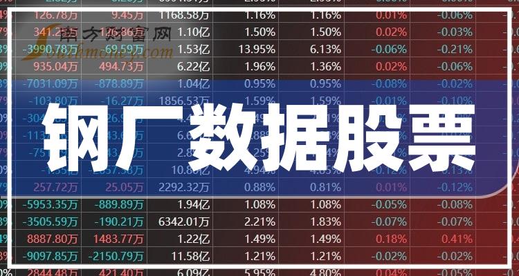 十大钢厂数据排行榜-10月6日相关股票市盈率前十名