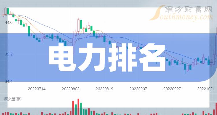 >电力上市公司十强（2023年第二季度股票净利率的排名）