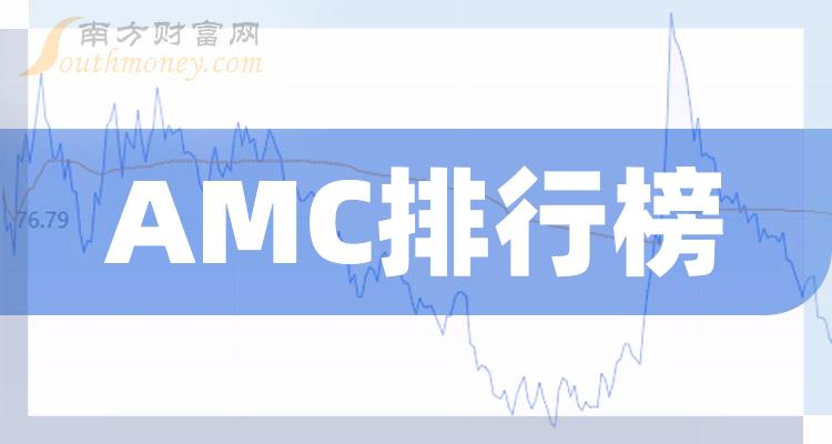 AMC相关公司十强是哪几家_2023第二季度毛利率排行榜