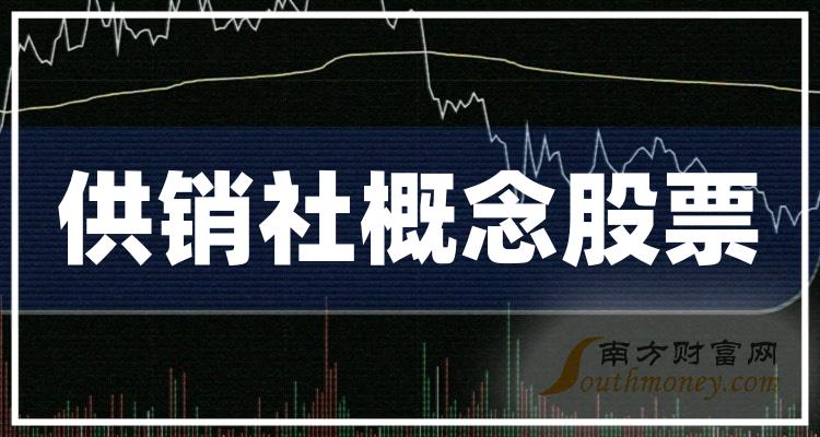 供销社概念排名靠前的股票有哪些？（2023年10月13日市盈率榜）