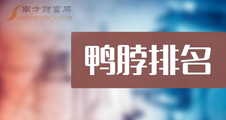 >鸭脖板块股票净利润排名（2023年第二季度榜单）