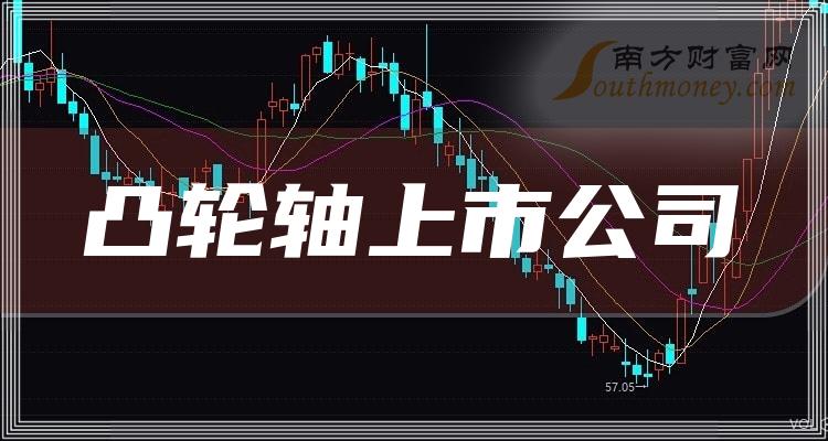 >2023第二季度凸轮轴上市公司每股收益排行榜前十名