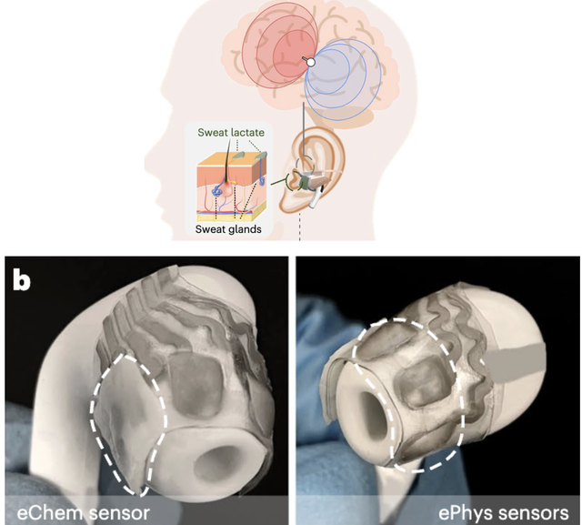 AirPods可以“读脑”了？还是能同时监测汗液乳酸浓度的那种