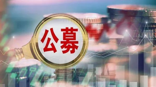 破发也不怕！公募打新乐此不疲，为了收益“逢新必打”