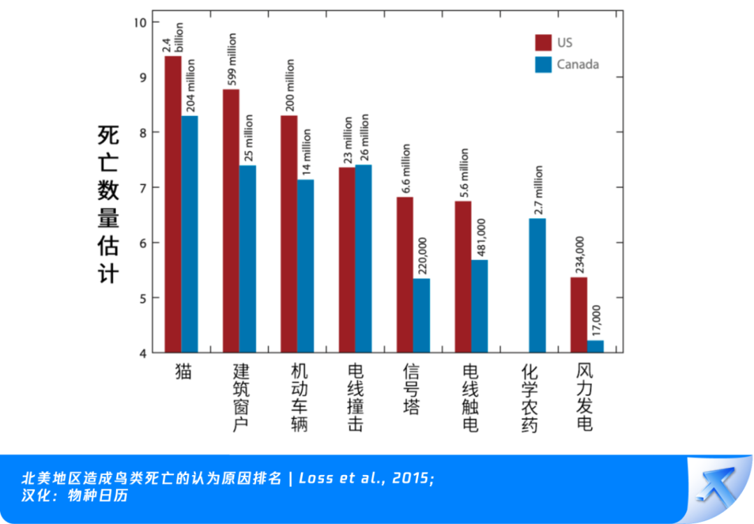 腾讯总部大厦“贴膜”了！为了它们