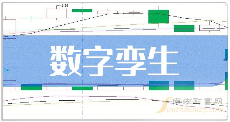 十大数字孪生相关企业-10月19日数字孪生市盈率榜单