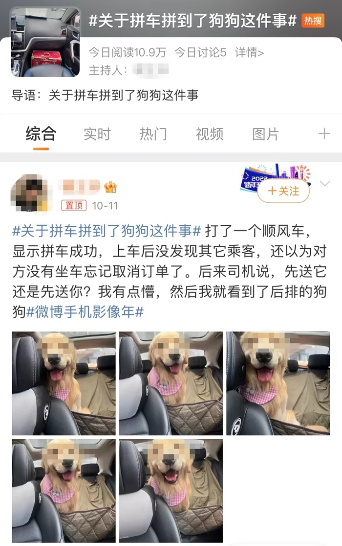 >顺风车乱象：起猛了，拼车拼到狗子