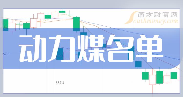 主板动力煤公司(主板动力煤股票名单2023)