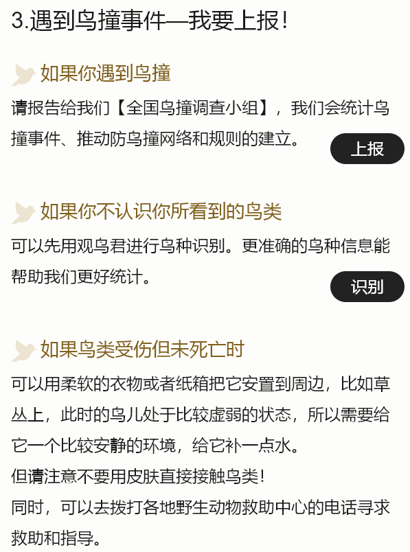 为了防止鸟撞，腾讯给两层楼贴上了波点壁纸