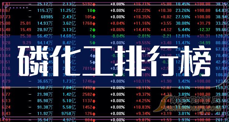 磷化工十大榜单_10月25日板块股票市盈率排行榜