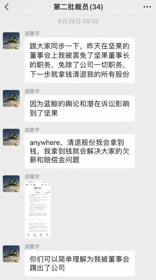 坚果投影创始人胡震宇被限制高消费！曾自曝：我被董事会踢出公司……