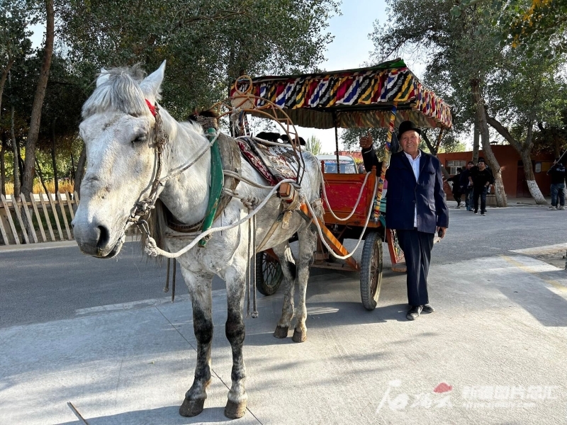 一方水土丨长寿民俗文化村：一叶知秋，带来致富信息