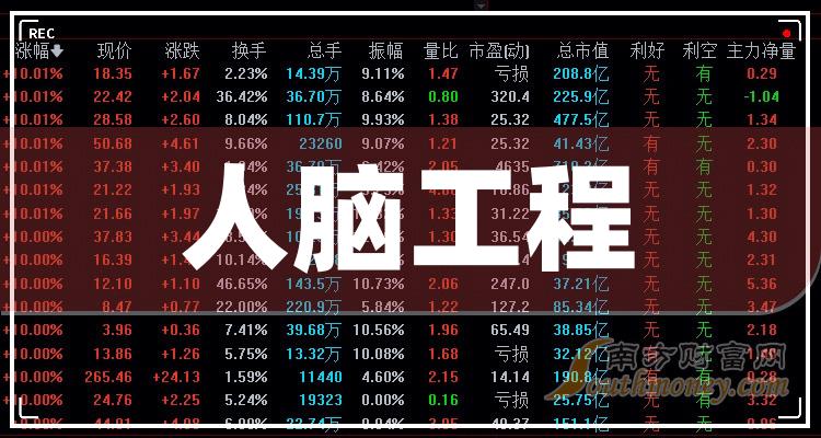 10月26日人脑工程公司市值排行榜