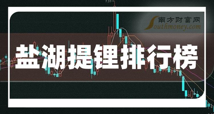 >2023年第二季度：盐湖提锂股票每股收益排行榜（排名前十的公司盘点）