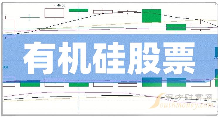 有机硅十强企业_股票净利率排行榜名单公布（二季度）