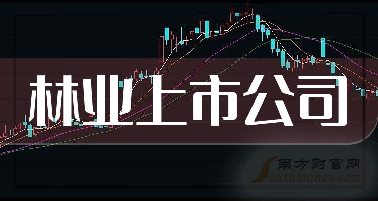 林业排名前十名：上市公司市盈率前10榜单（10月27日）