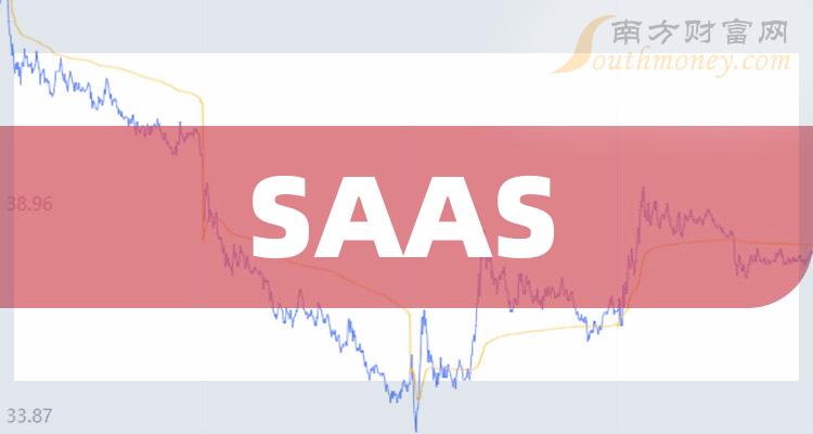 SAAS10大相关企业排行榜_净利率排名前十查询（二季度）