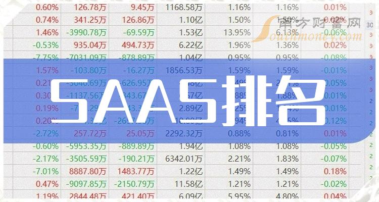 SAAS相关公司哪家比较好_第二季度毛利率前10排名