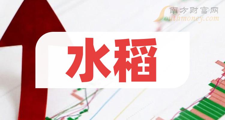 水稻上市公司龙头股票概念一览（2023/11/8）