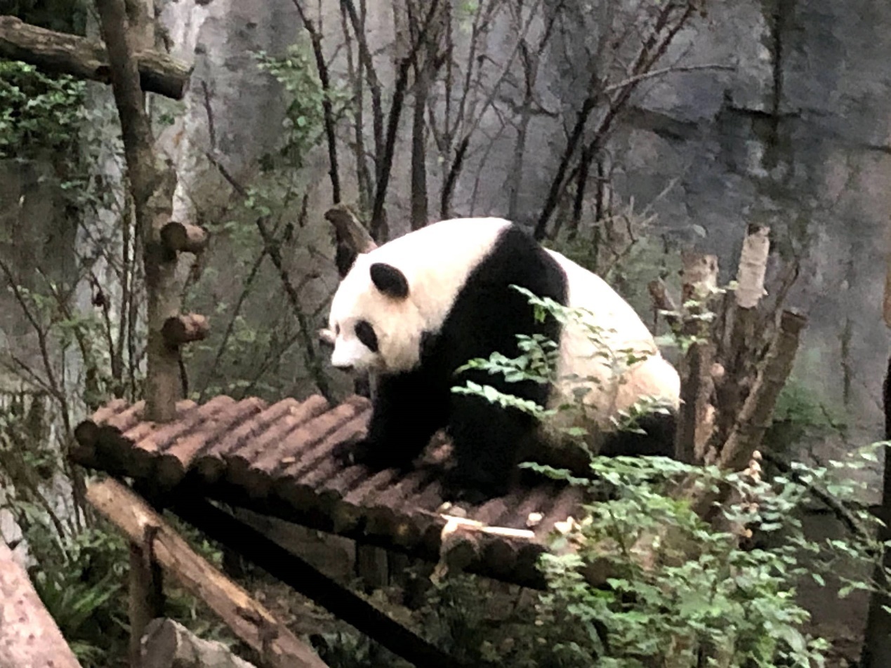 风暴眼丨一年3次旅游，开24万的车还觉得不够有面，这届小镇青年太敢花了