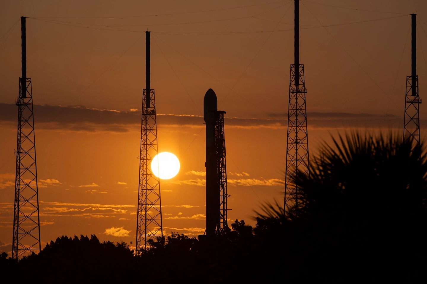 >SpaceX员工指责马斯克为登陆火星不顾风险，导致受伤率远高于行业平均水平